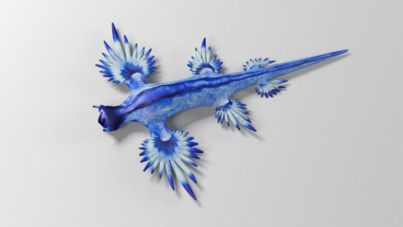3D Blue Dragon Slug
