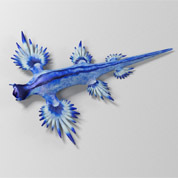 Blue Dragon Slug
