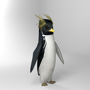 Pinguino crestato