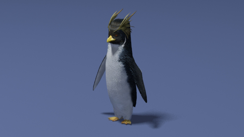 3D Crested penguin