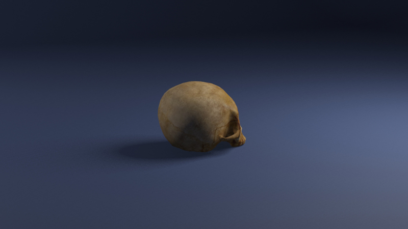 3D Old skull3
