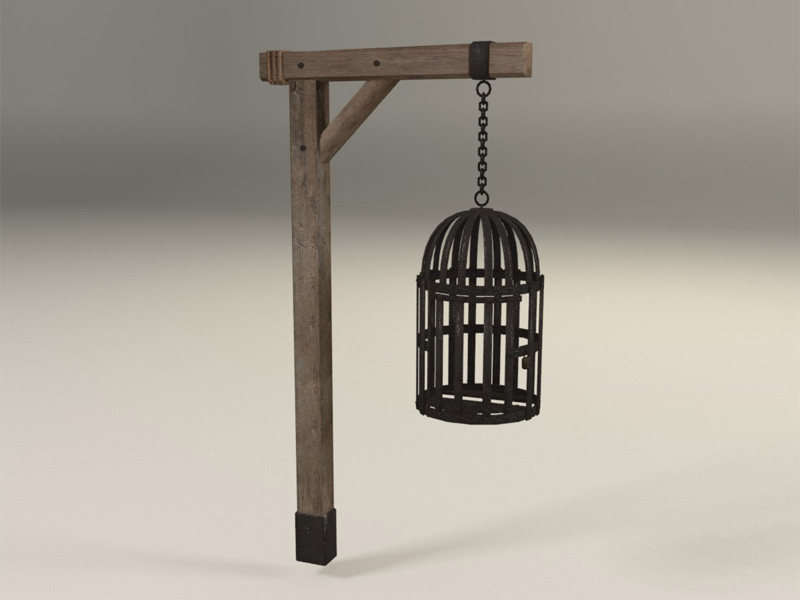 3D Suspended cage