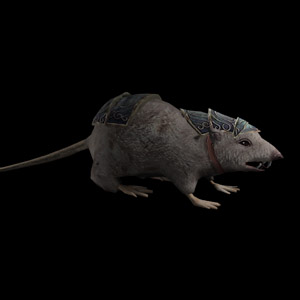 3D Book rat