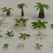 tropical-vegetation